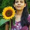 snehalpatel779